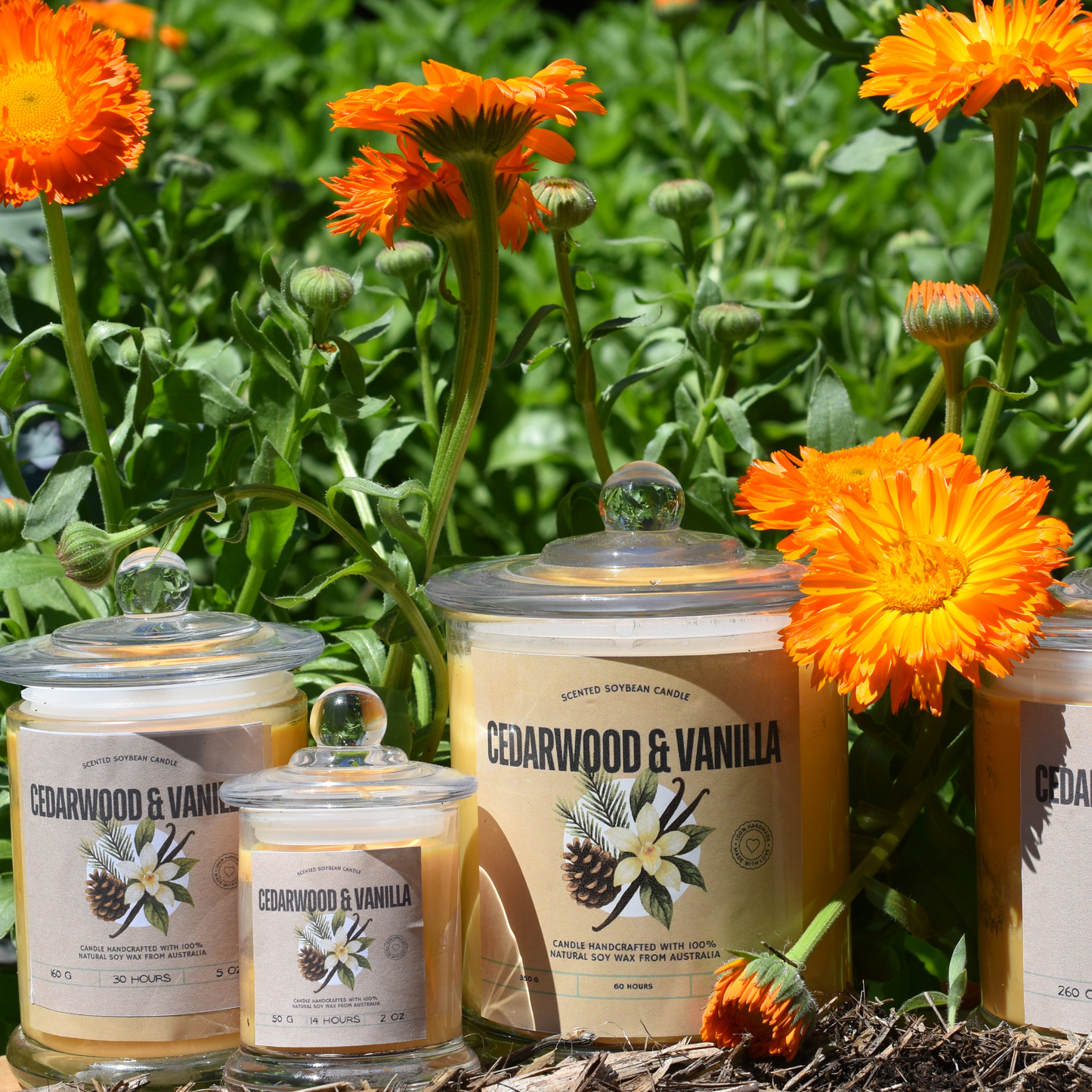 🪵 Cedarwood & Vanilla Soy Wax Candle