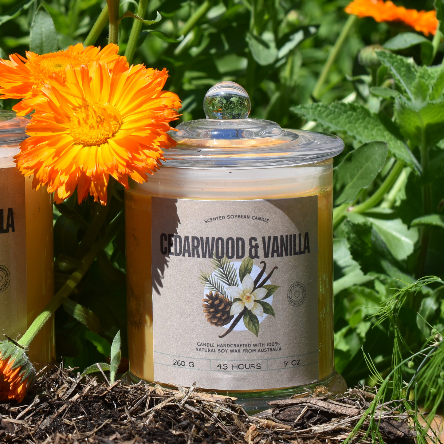 🪵 Cedarwood & Vanilla Soy Wax Candle