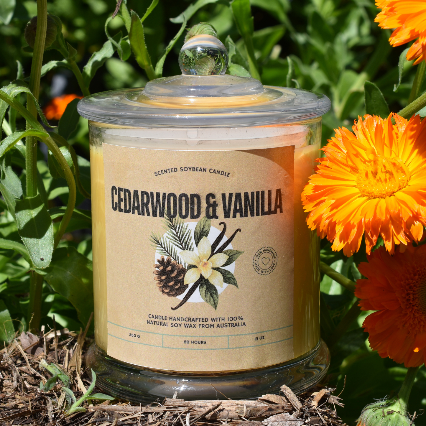 🪵 Cedarwood & Vanilla Soy Wax Candle