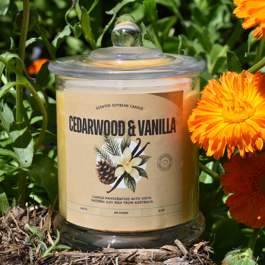 🪵 Cedarwood & Vanilla Soy Wax Candle