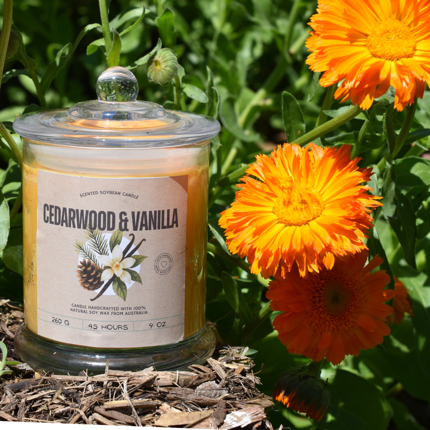 🪵 Cedarwood & Vanilla Soy Wax Candle
