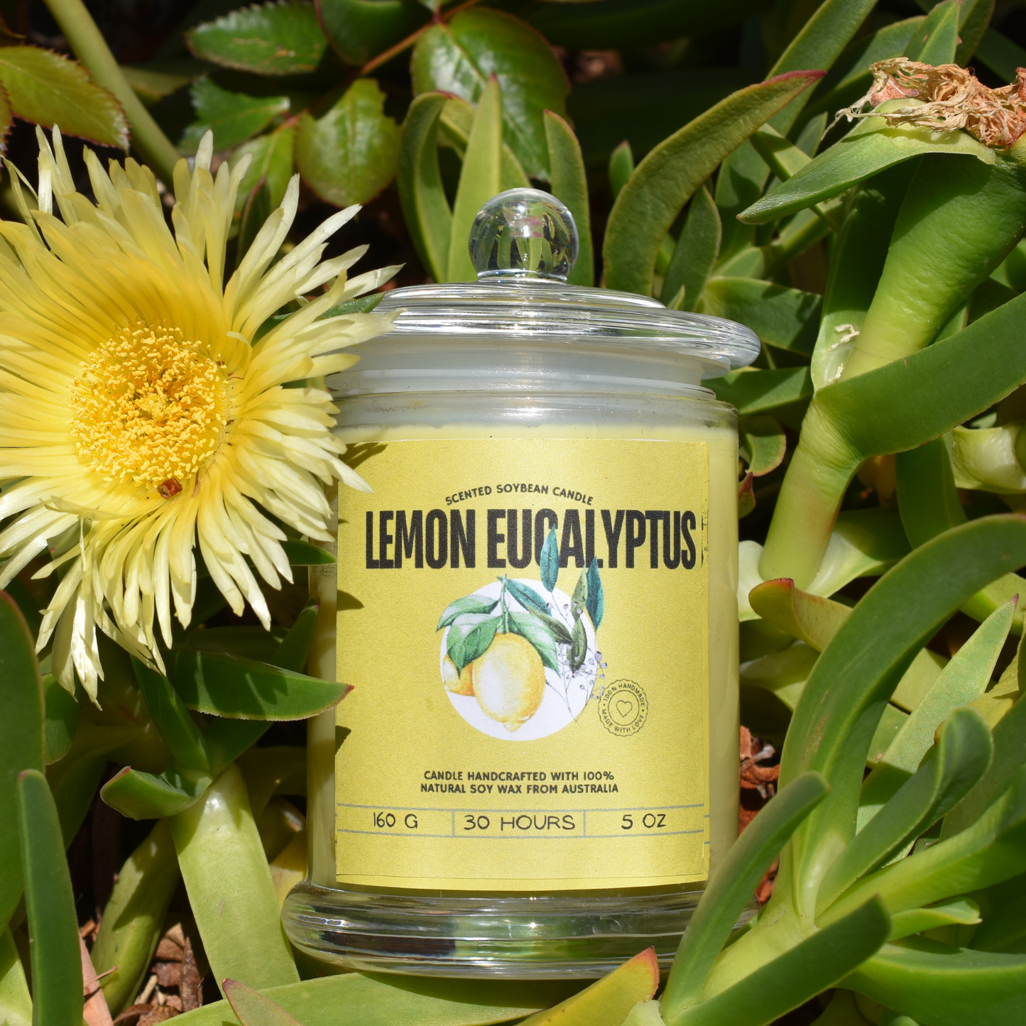 ๐ Lemon Eucalyptus Soy Wax Candle