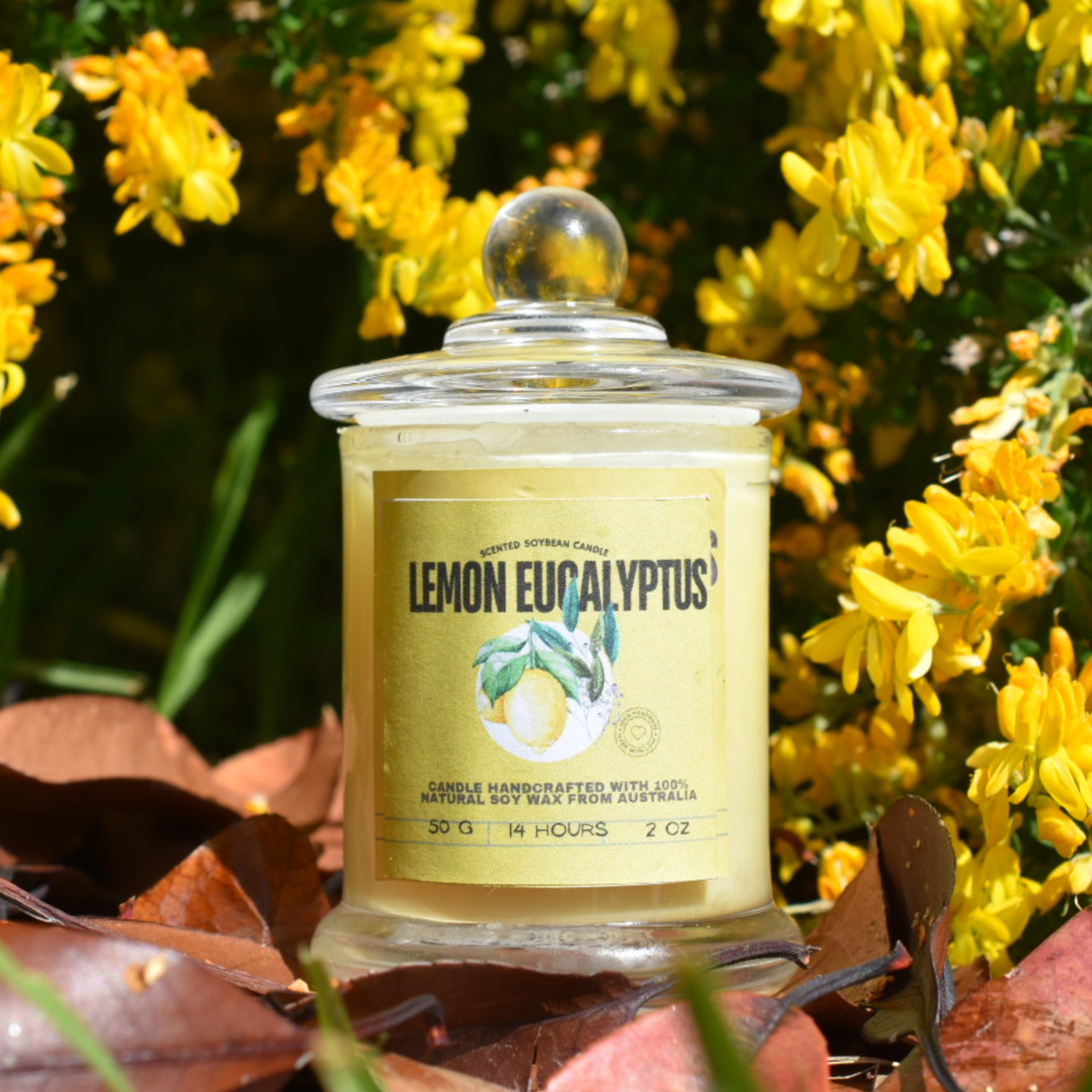 ๐ Lemon Eucalyptus Soy Wax Candle