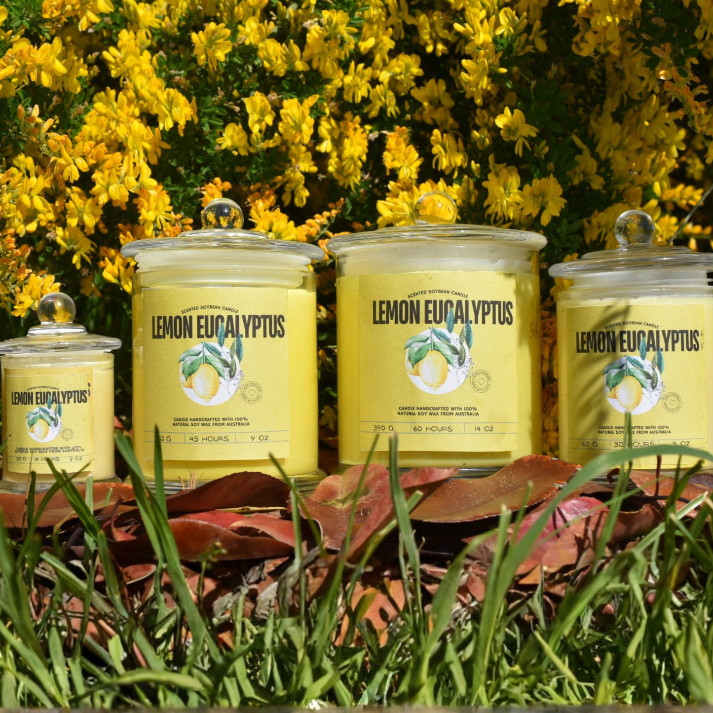 ๐ Lemon Eucalyptus Soy Wax Candle