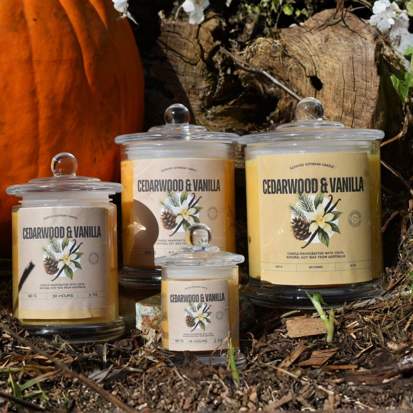 🪵 Cedarwood & Vanilla Soy Wax Candle