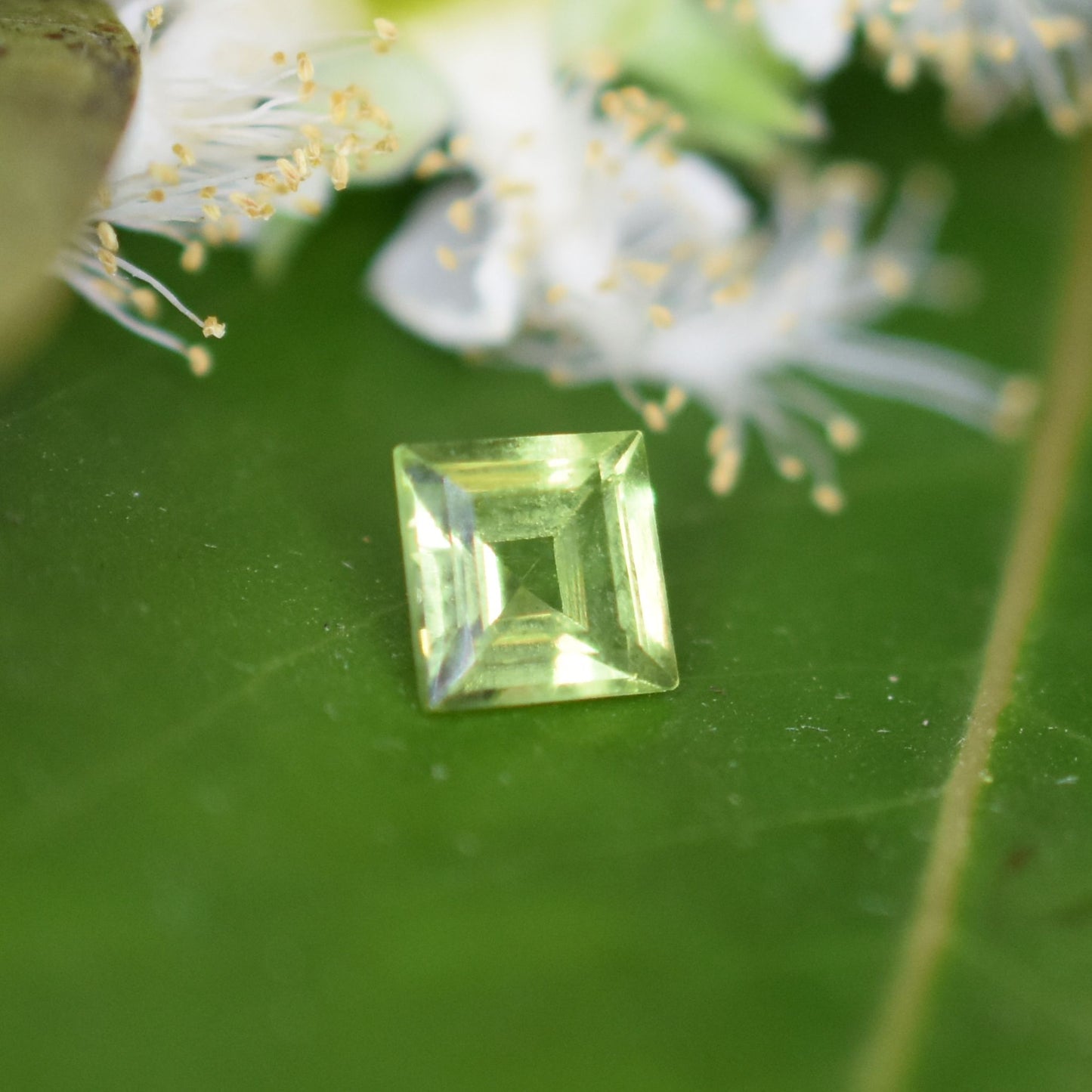 Peridot Gemstone – 100% Natural Untreated - Calibrated Sizes