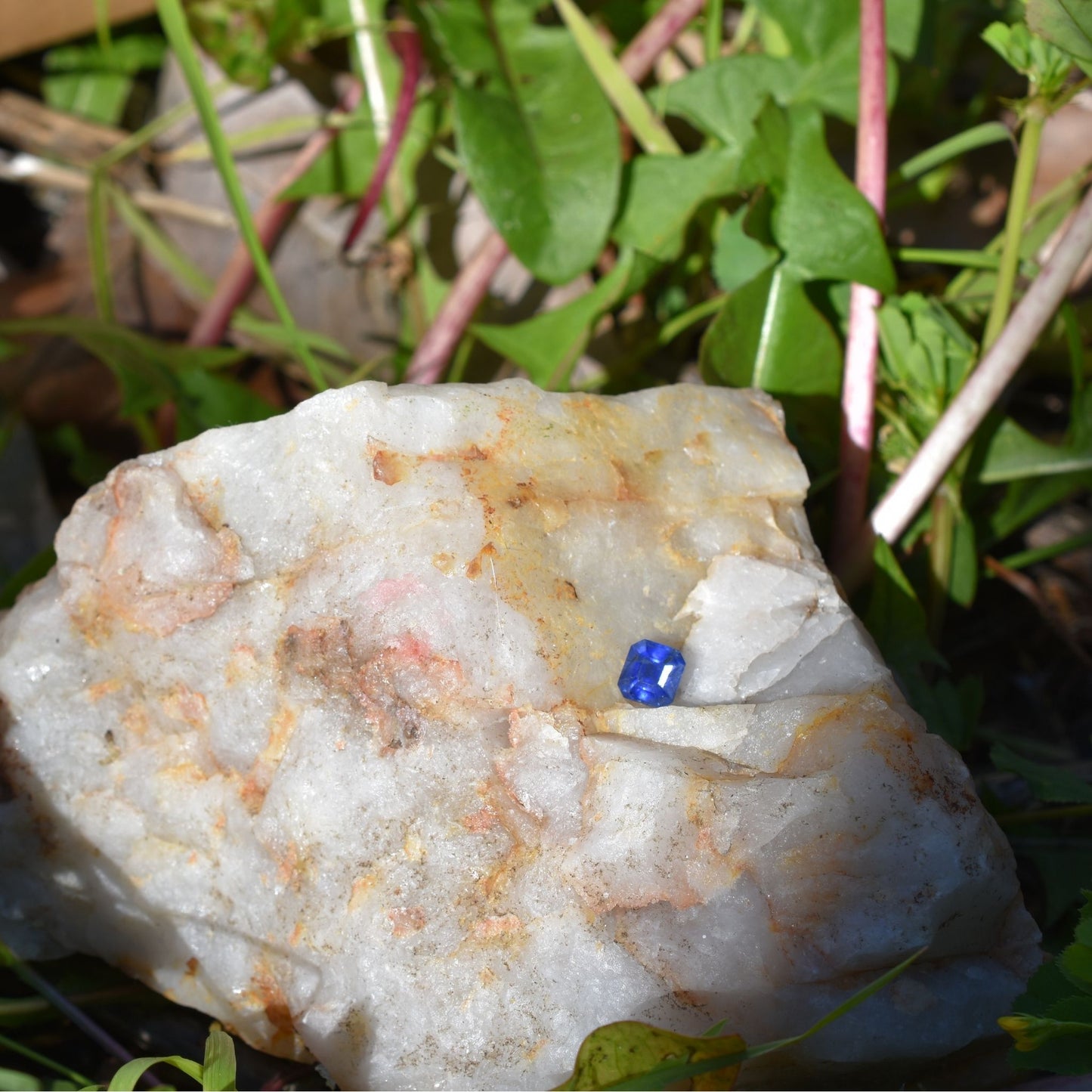 🔹 Sapphire – Stone of Wisdom & Royalty