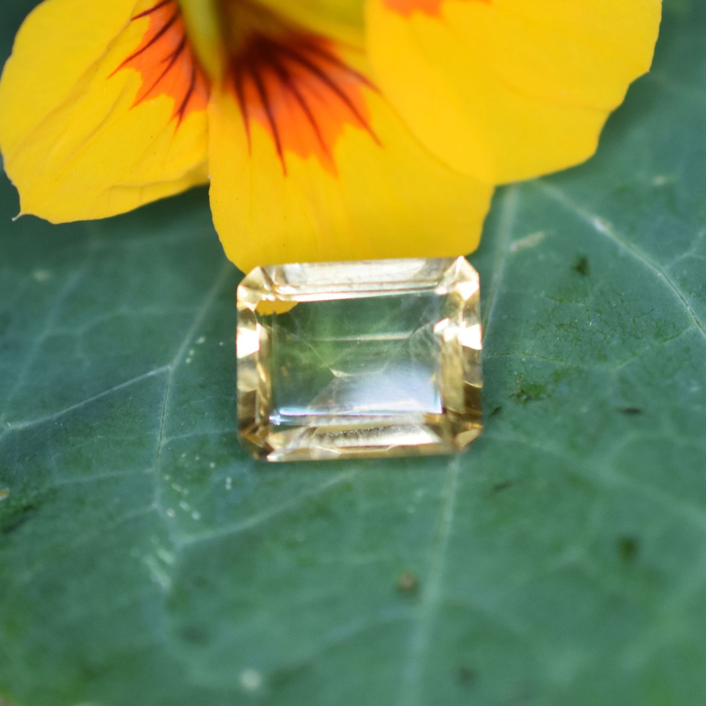 Citrine Gemstone – 100% Natural Untreated - Calibrated Sizes