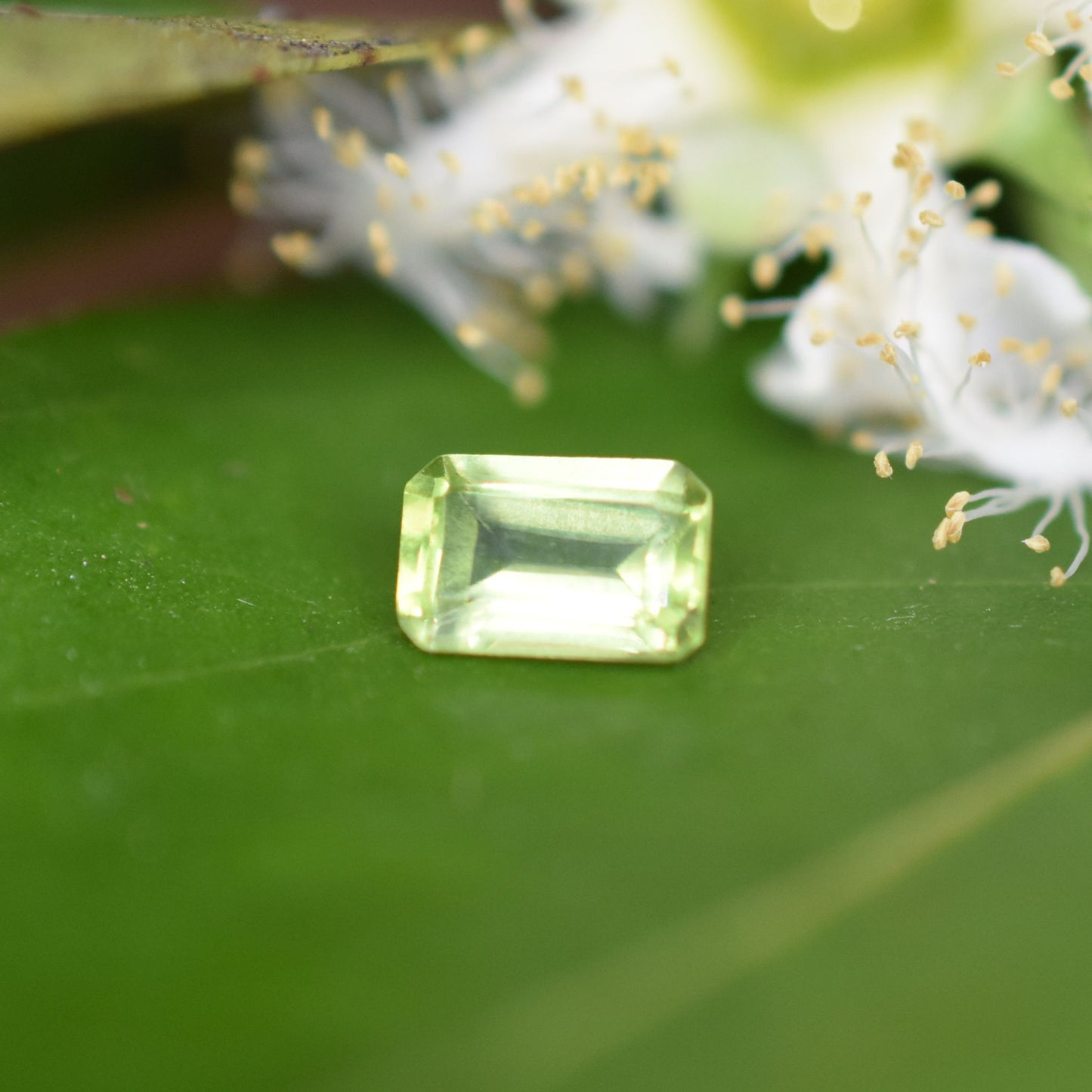Peridot Gemstone – 100% Natural Untreated - Calibrated Sizes