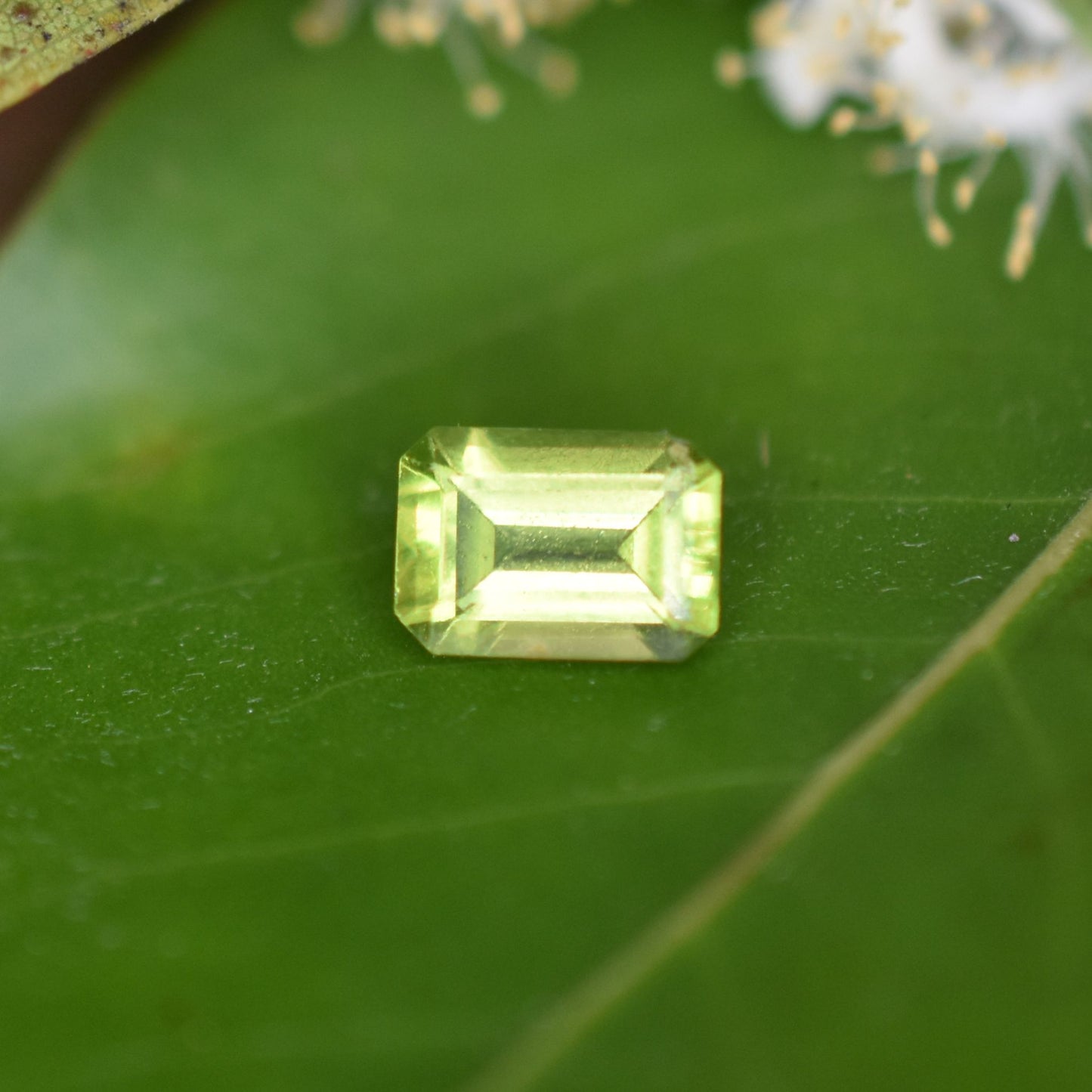 Peridot Gemstone – 100% Natural Untreated - Calibrated Sizes