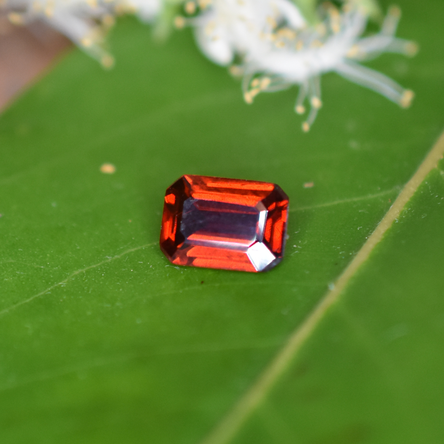 Garnet Gemstone – 100% Natural Untreated - Calibrated Sizes