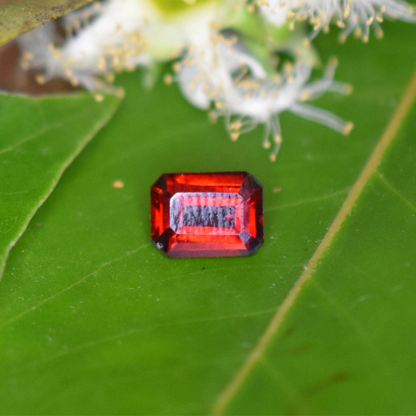 Garnet Gemstone – 100% Natural Untreated - Calibrated Sizes