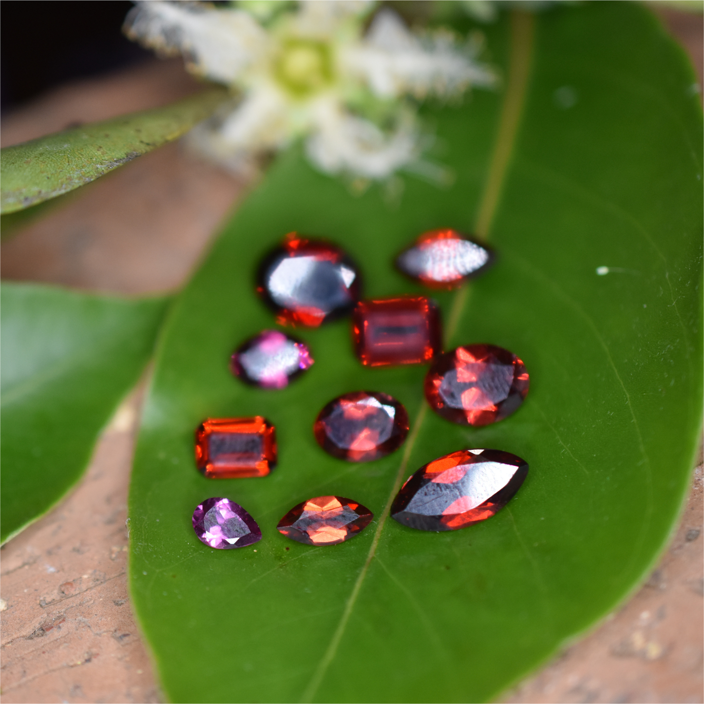 Garnet Gemstone – 100% Natural Untreated - Calibrated Sizes