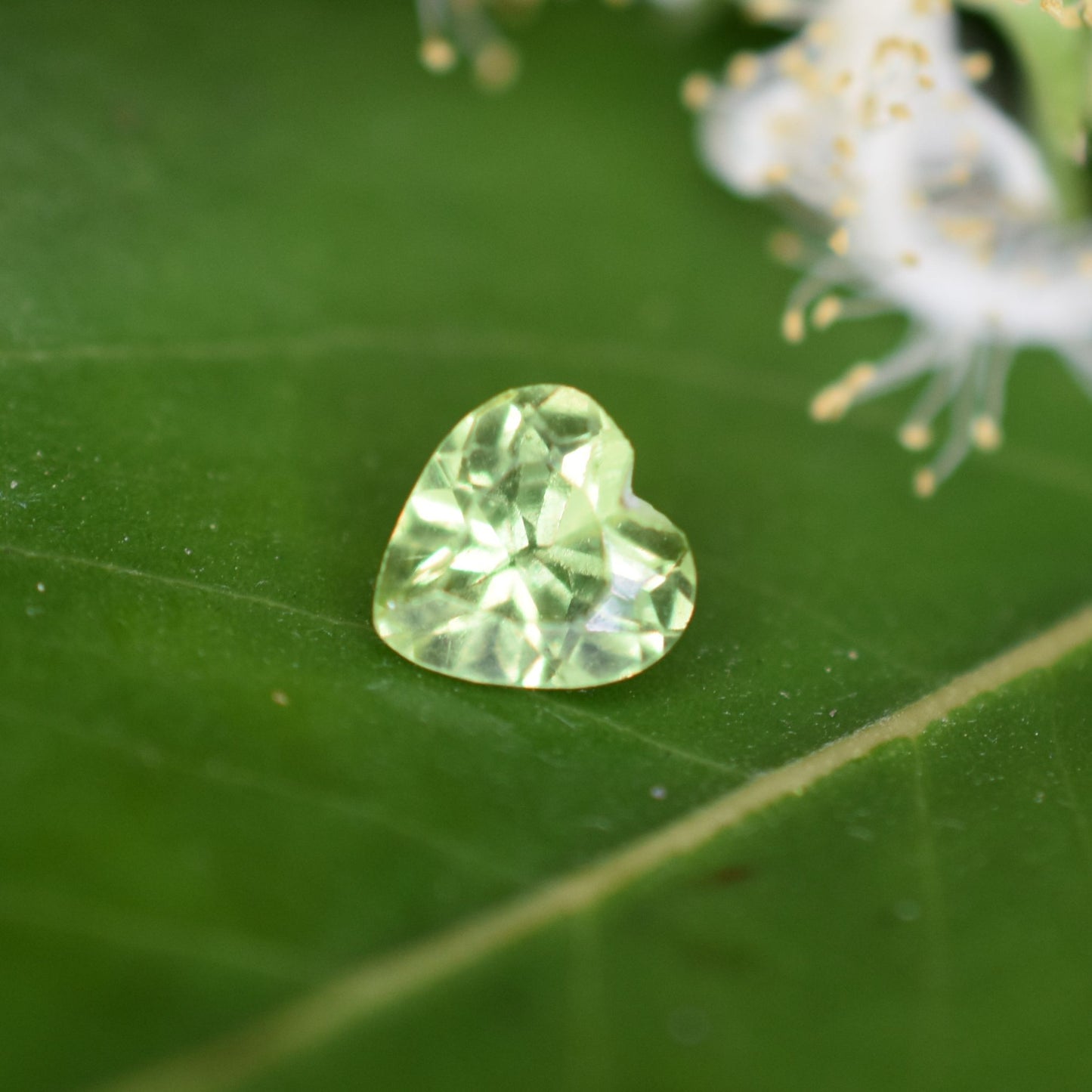 Peridot Gemstone – 100% Natural Untreated - Calibrated Sizes