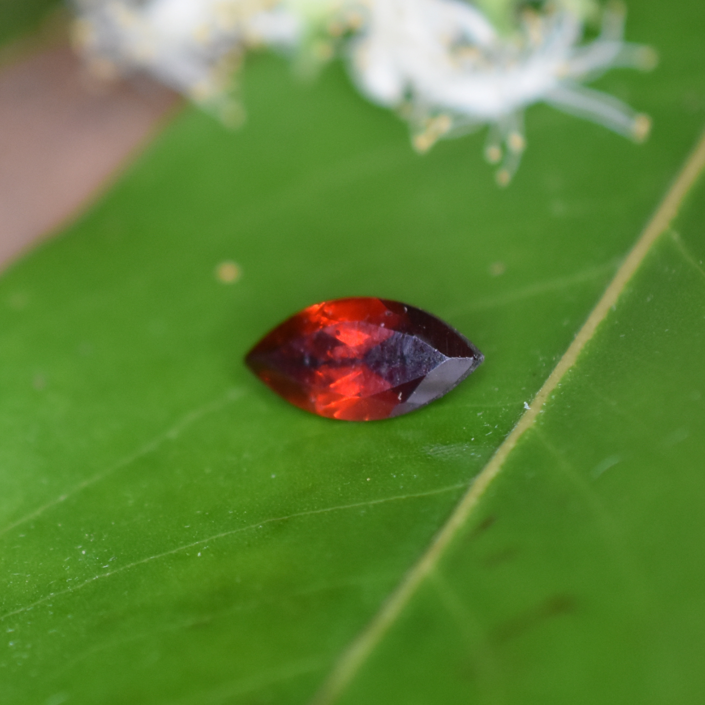 Garnet Gemstone – 100% Natural Untreated - Calibrated Sizes