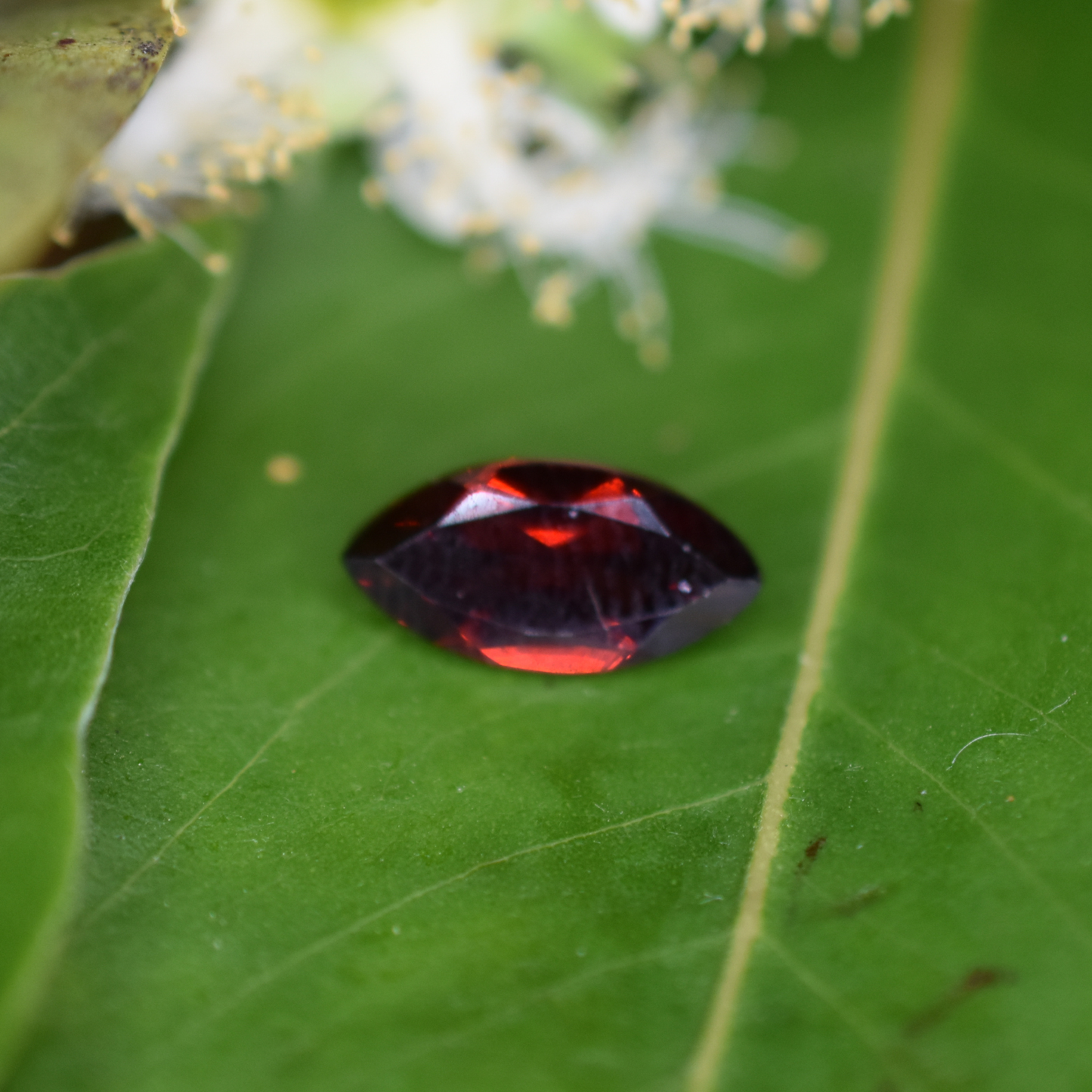 Garnet Gemstone – 100% Natural Untreated - Calibrated Sizes