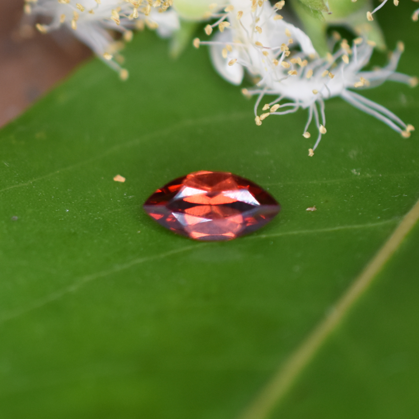 Garnet Gemstone – 100% Natural Untreated - Calibrated Sizes