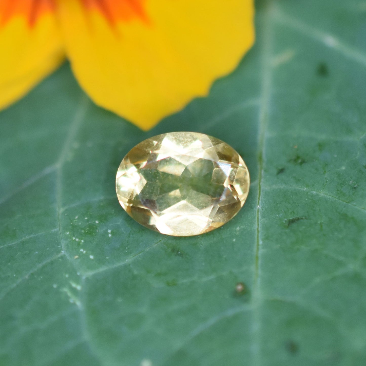 Citrine Gemstone – 100% Natural Untreated - Calibrated Sizes