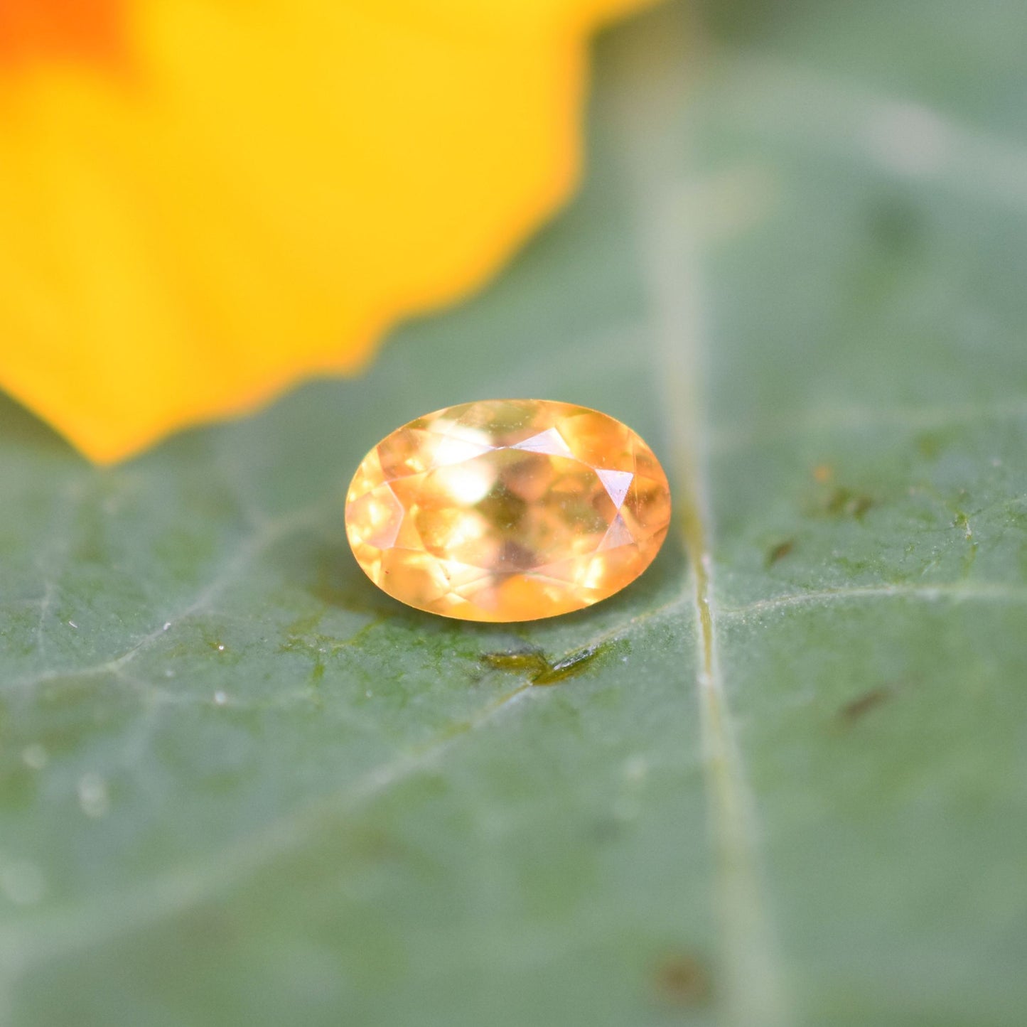 Citrine Gemstone – 100% Natural Untreated - Calibrated Sizes