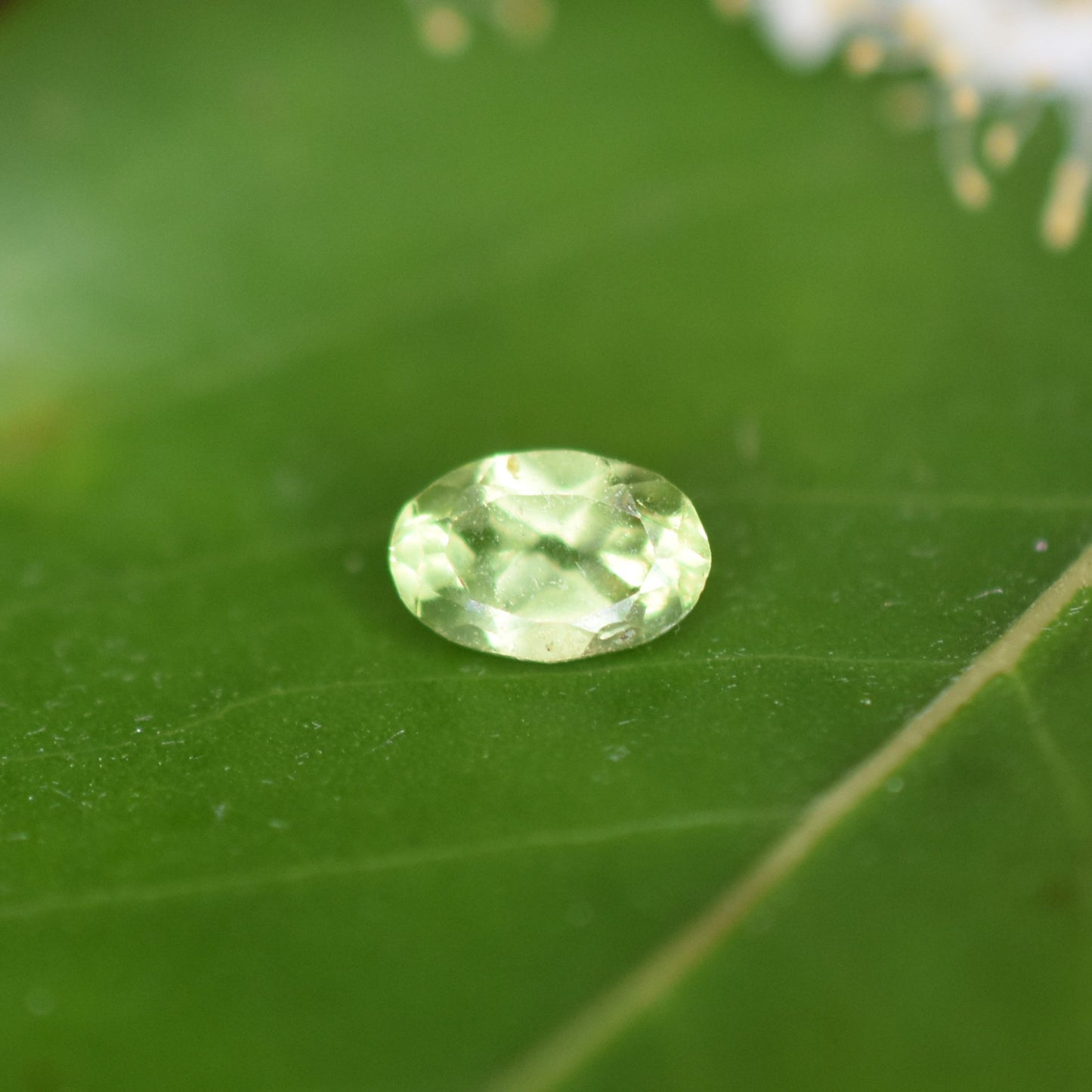 Peridot Gemstone – 100% Natural Untreated - Calibrated Sizes