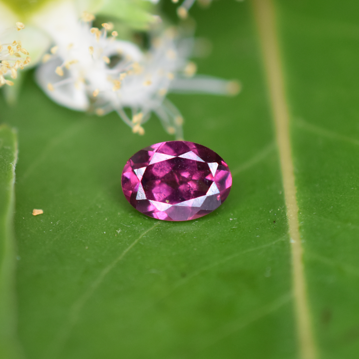 Garnet Gemstone – 100% Natural Untreated - Calibrated Sizes