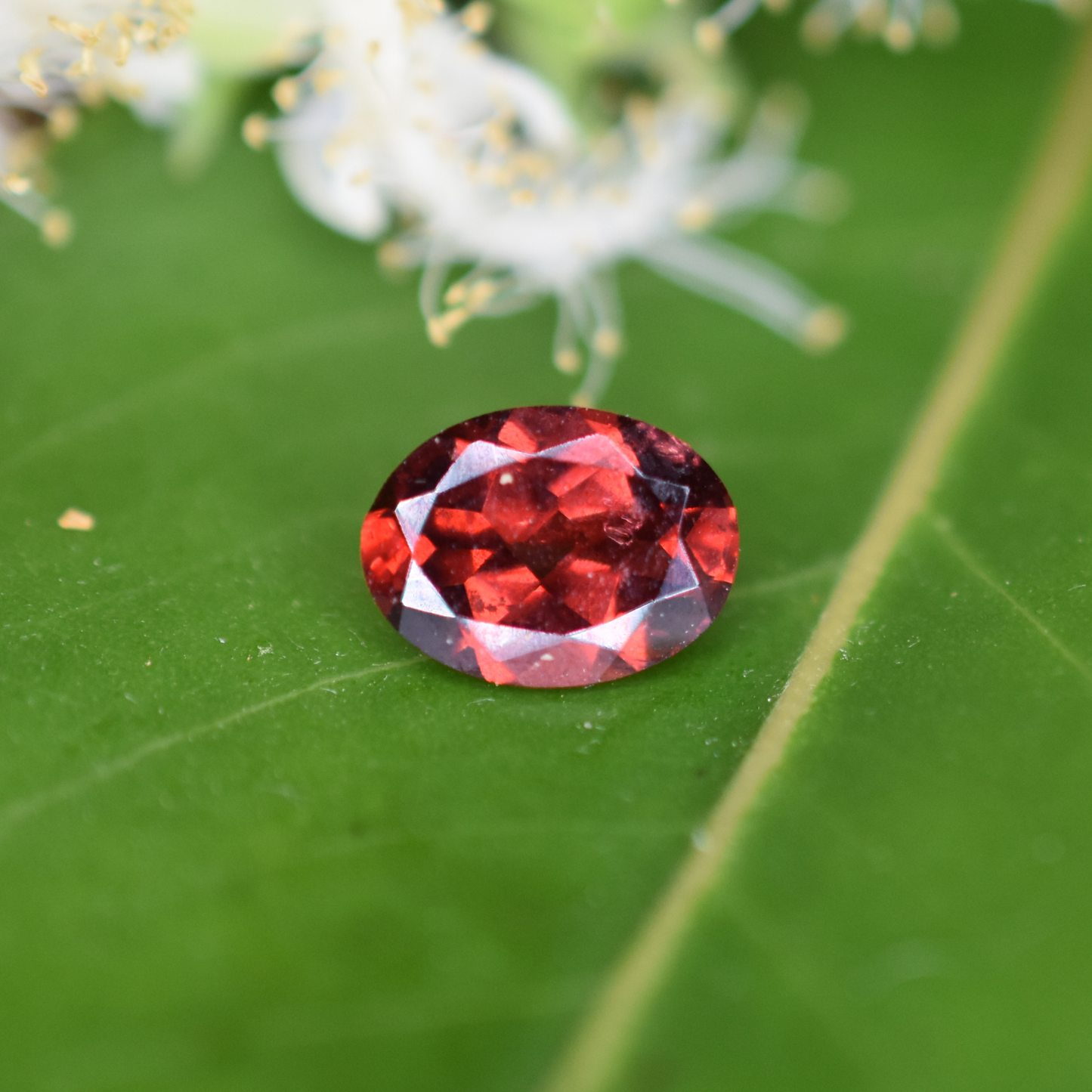 Garnet Gemstone – 100% Natural Untreated - Calibrated Sizes