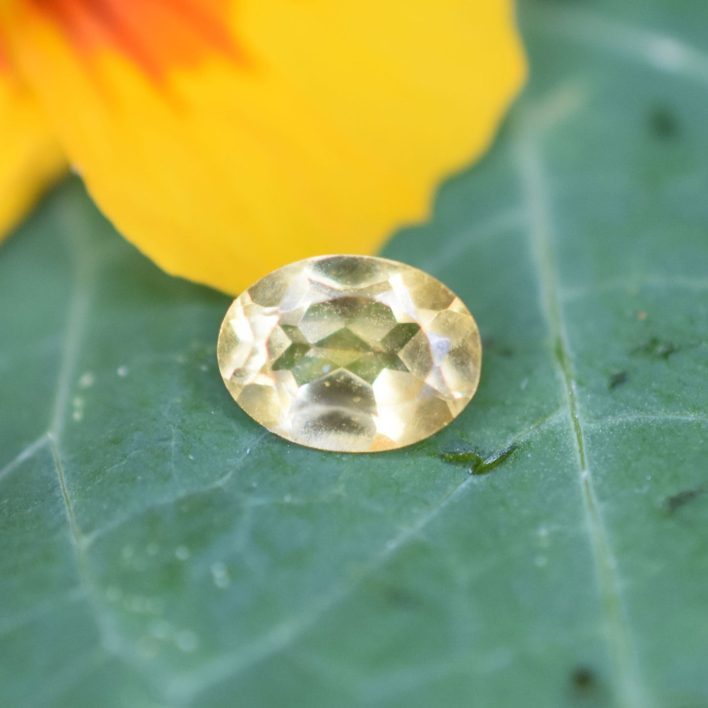 Citrine Gemstone – 100% Natural Untreated - Calibrated Sizes