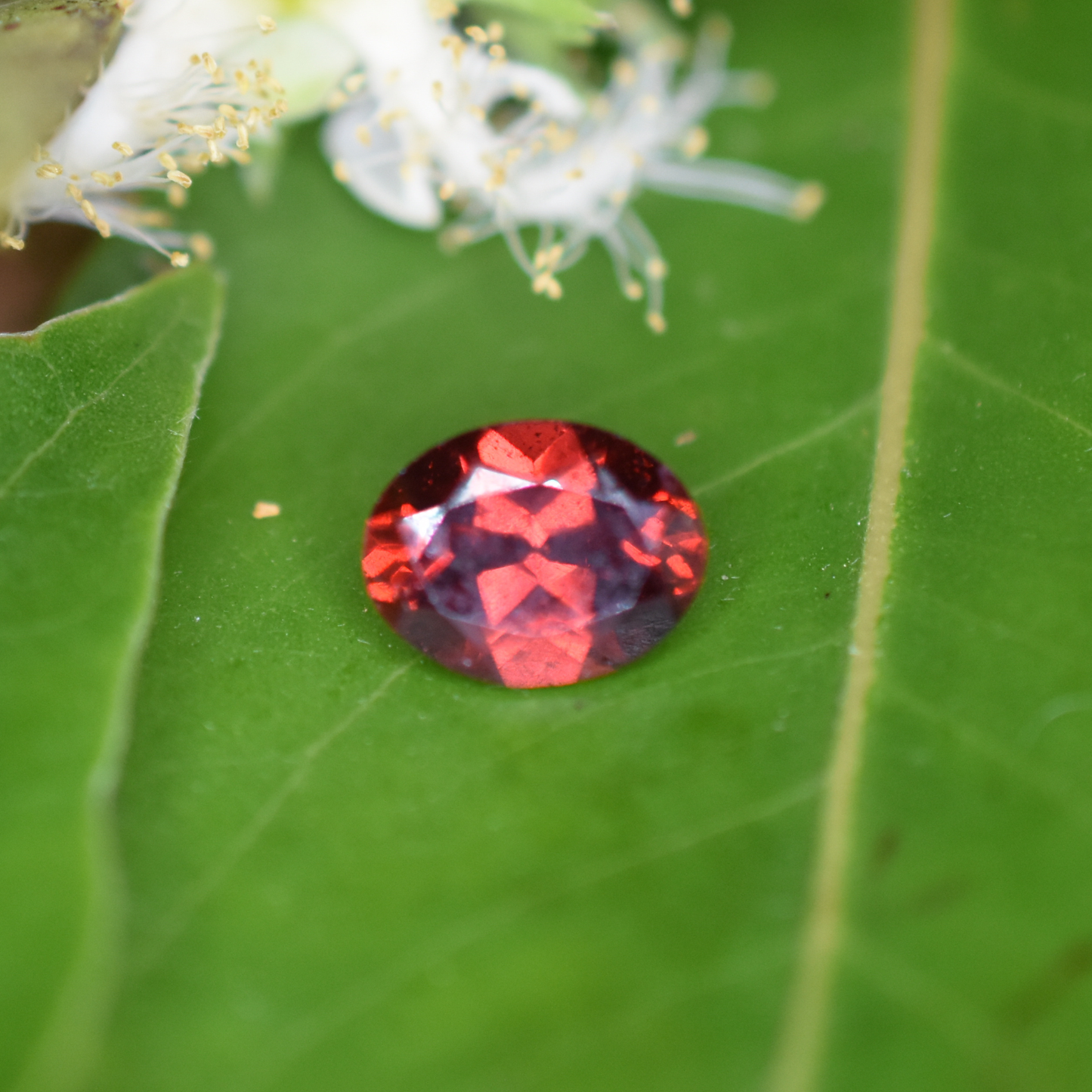Garnet Gemstone – 100% Natural Untreated - Calibrated Sizes