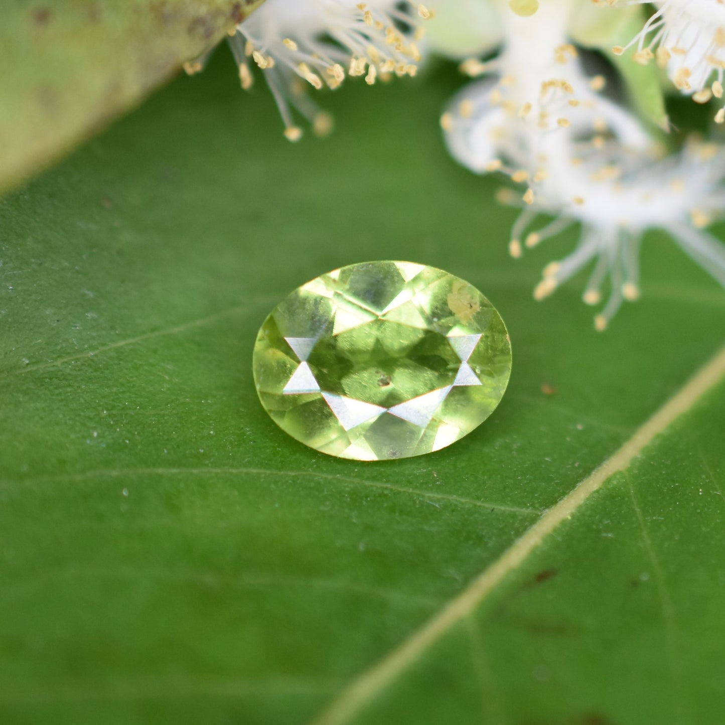Peridot Gemstone – 100% Natural Untreated - Calibrated Sizes