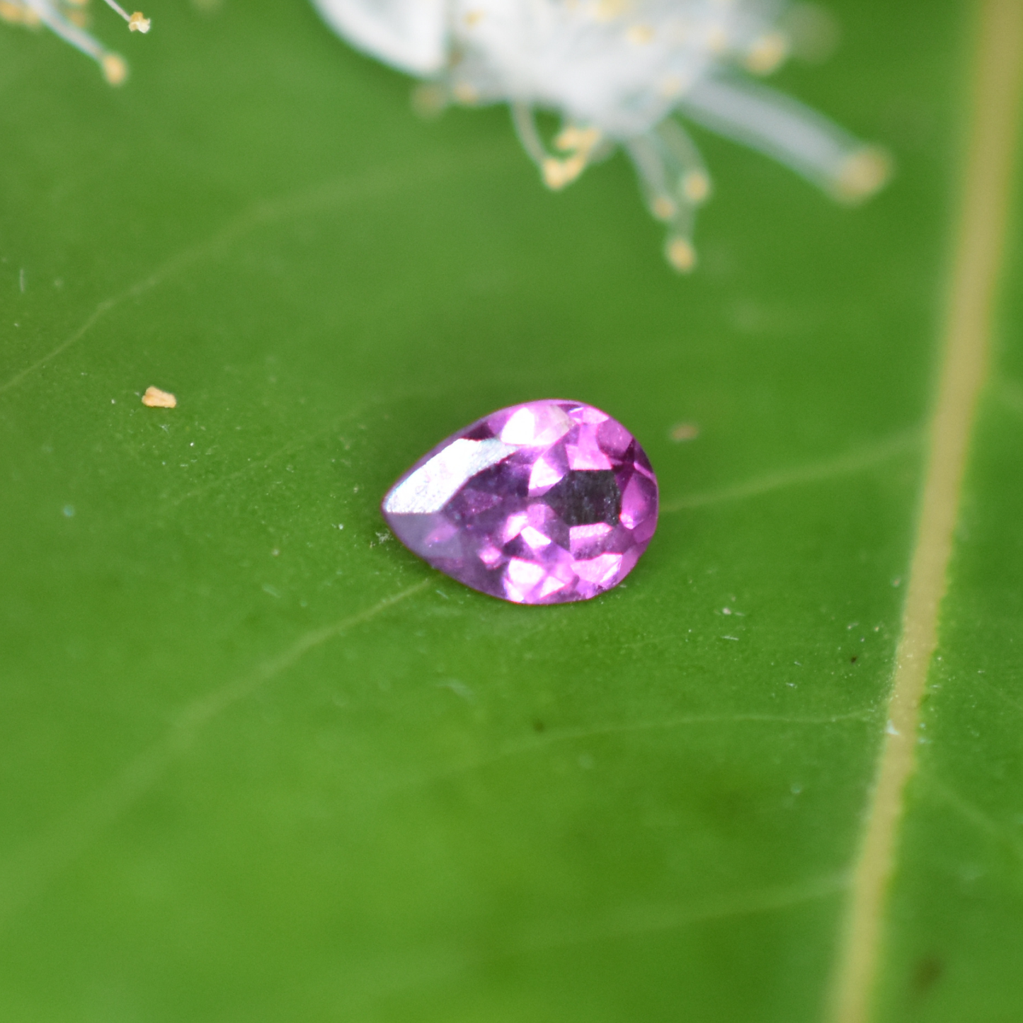 Garnet Gemstone – 100% Natural Untreated - Calibrated Sizes