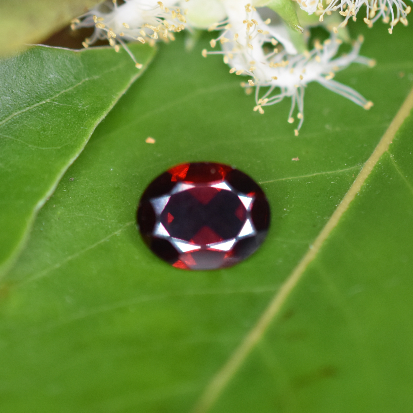 Garnet Gemstone – 100% Natural Untreated - Calibrated Sizes